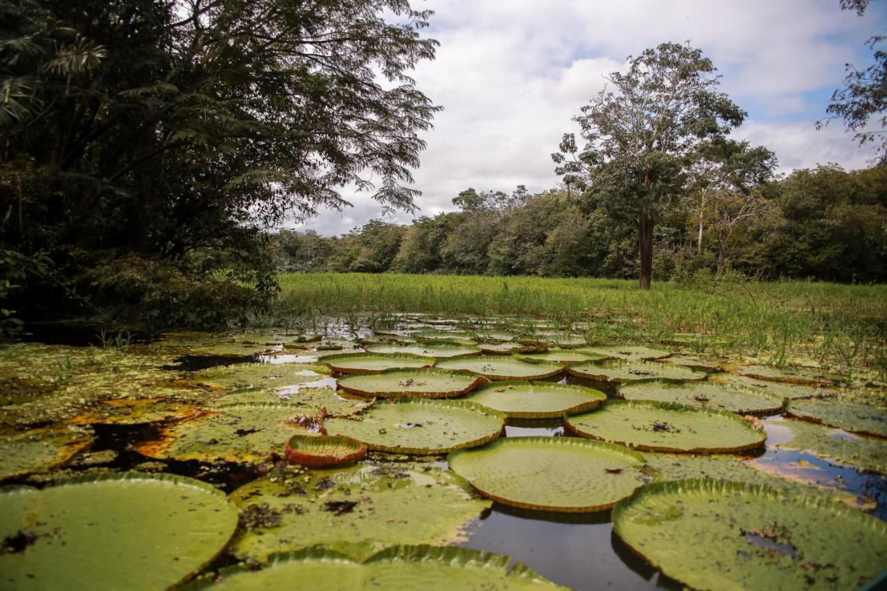 Amazonia Jungle Hotel Iranduba Dış mekan fotoğraf
